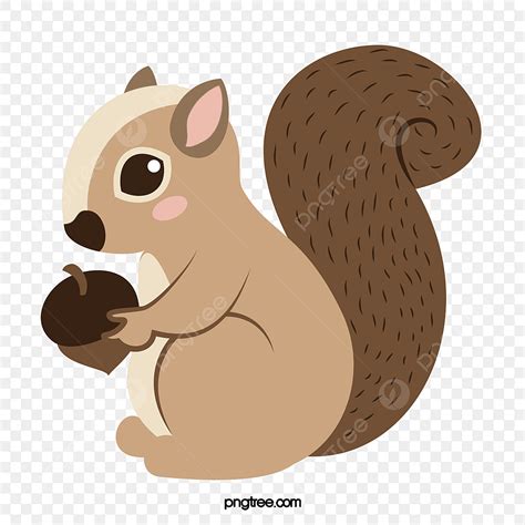 Squirrel Clipart PNG, Vector, PSD, and Clipart With Transparent Background for Free Download ...