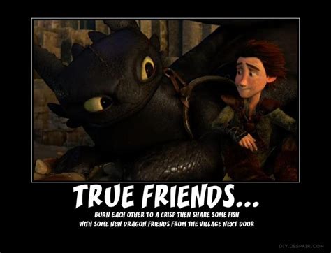 Hiccup & Toothless True Frienda | How train your dragon, How to train ...