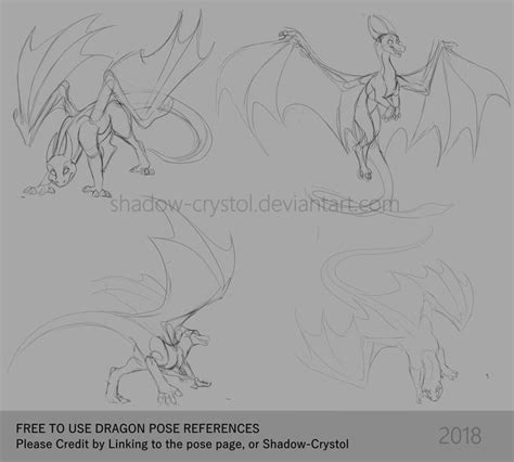 Free to use Dragon Poses | References #4 by Shadow-Crystol on DeviantArt | Dragon poses, Dragon ...