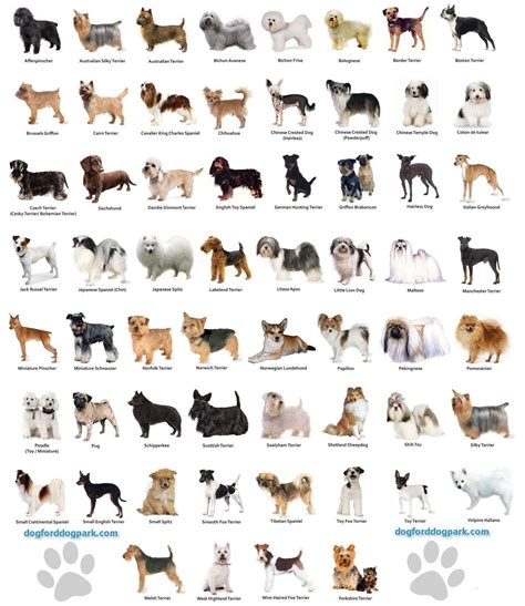 Dog Breeds Wallpapers - Wallpaper Cave