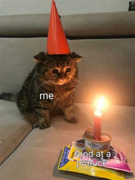 Sad Birthday Cat Meme Template