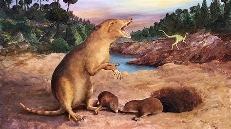 Mammals lived alongside a number of the earliest dinosaurs, controversial examine claims ...
