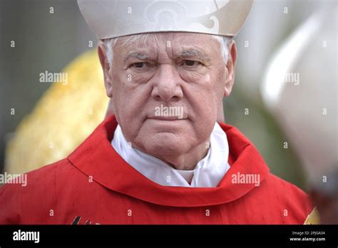 Cardinal Gerhard Ludwig Muller.Pope Francis celebrates the Palm Sunday mass in St Peter's square ...
