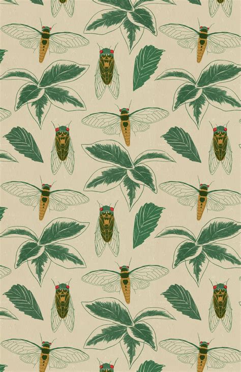 Cicada pattern Surface Pattern Design, Pattern Art, Pattern ...