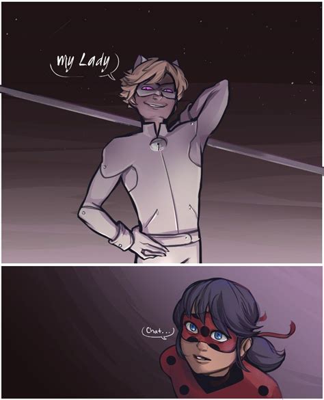 Chat Blanc | Miraculous ladybug anime, Miraculous ladybug funny, Miraculous ladybug memes