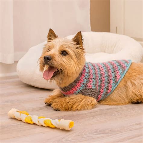 Crochet Dog Sweater Patterns for All Sizes - Beautiful Dawn Designs