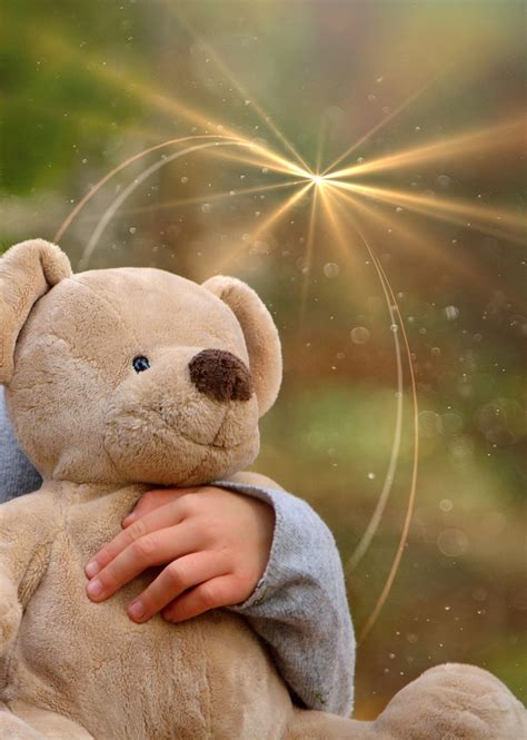 Free Images : hand, ray of light, teddy bear, whiskers, furry teddy ...