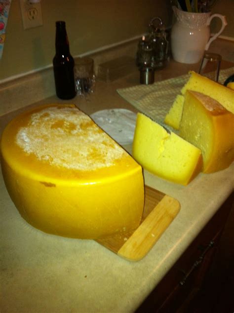 Portuguese cheese | Queso