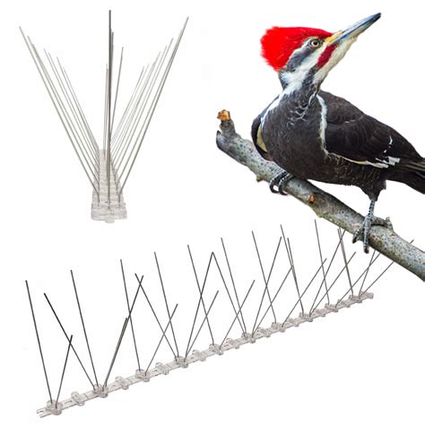 * Woodpecker Spikes - Buy Online & Save | Free US Shipping