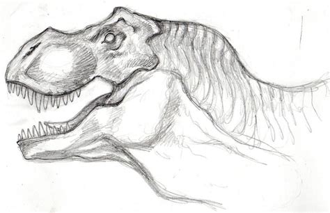 T-rex face - pencil sketch by SqiTzoW on DeviantArt in 2020 | Pencil ...