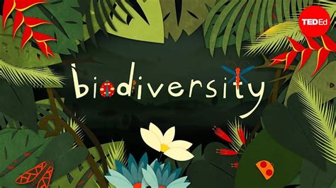 The Bio-geographic Classification for the Conservation of Biodiversity