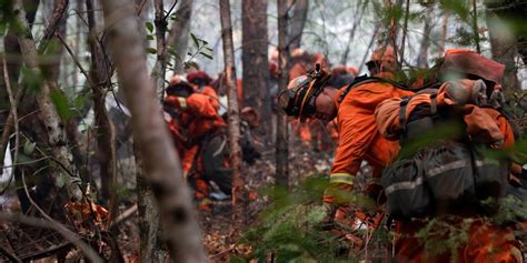 Santa Rosa Fire: Map Shows the Destruction in Napa, Sonoma Counties - Business Insider