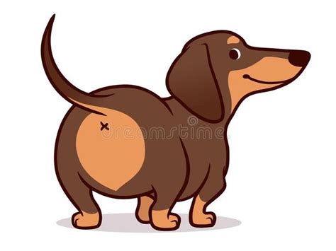 Cute wiener sausage dog cartoon illustration isolated on white. Simple drawing of friendly ...