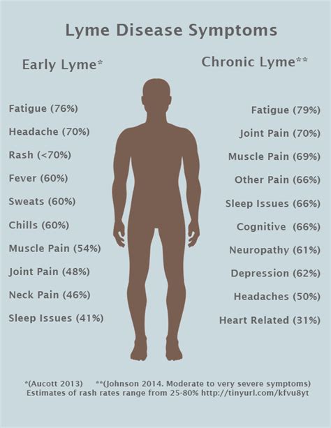 Symptoms of Lyme Disease | LymeDisease.org