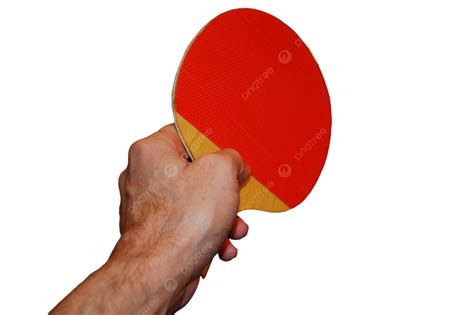 Ping Pong Tennis Blue Arm, Paddle, Arm, Table PNG Transparent Image and ...
