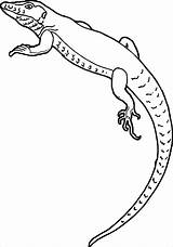 Frilled Lizard Coloring Page  ColoringBay sketch template