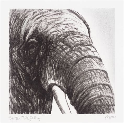 'Elephant’s Head II', Henry Moore OM, CH | Tate | Henry moore drawings, Henry moore, Elephant