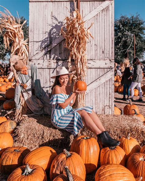 Hall's Pumpkin Farm: The Best Pumpkin Patch near Dallas