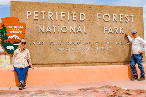 All you need to know about visiting Petrified Forest National Park ...