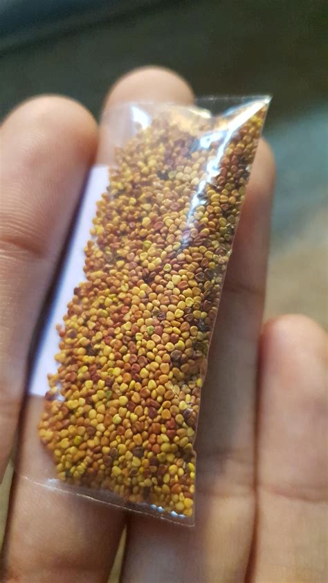 Forbidden sprinkles! : r/gardening