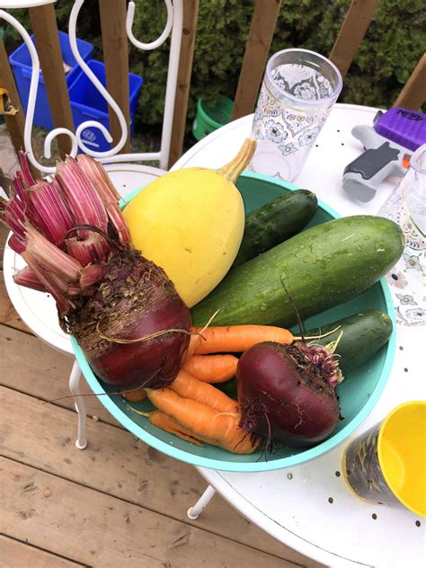 A bountiful harvest from my garden : pics