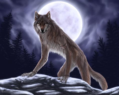 Werewolf - Fantasy Photo (31034491) - Fanpop