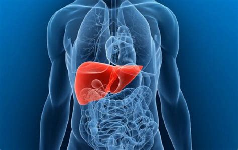 Causes, Treatments and Home Remedies For Liver Swelling