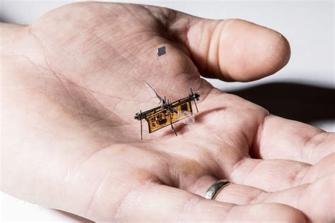 Meet RoboFly, the mechanical insect that could fly climate-saving missions | Videos | Eco ...