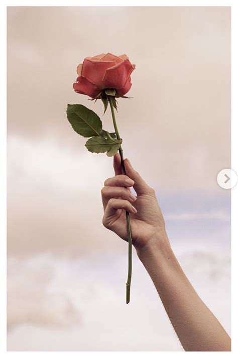 Pin on fotografia | Hand photography, Hands holding flowers, Rose in hand