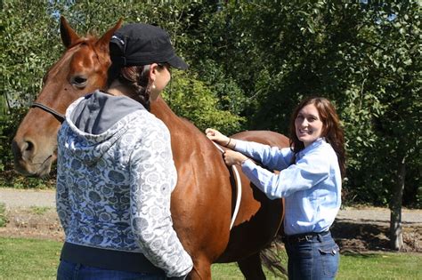 Feeding the Performance Horse - - The Northwest Horse Source