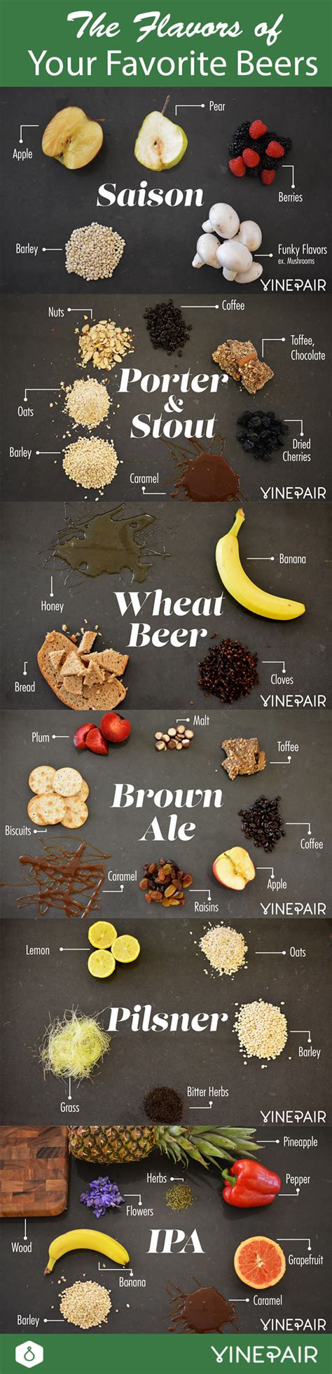 The Flavors In Your Favorite Beers Visualized | VinePair