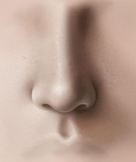 7 NOSE SHAPES REFERENCE ideas in 2021 | nose shapes, nose drawing, art ...