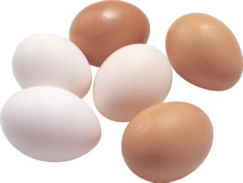 Eggs Png Image Purepng Free Transparent Cc0 Png Image Library | Images and Photos finder