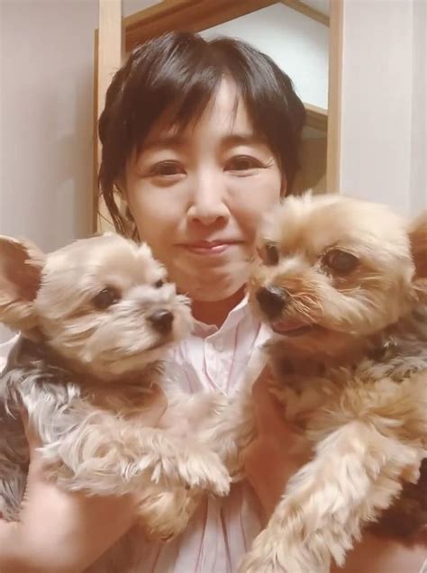 a woman holding three small dogs in her hands