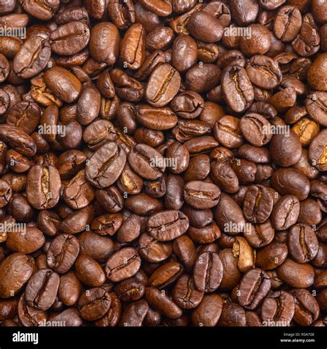 coffee beans closeup Stock Photo - Alamy