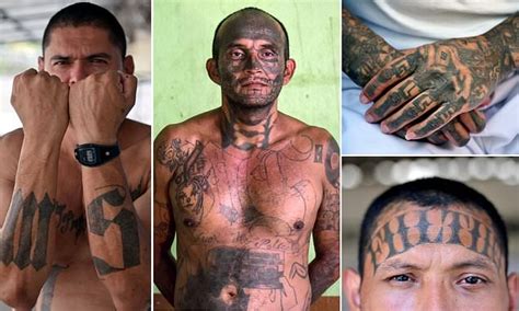 El Salvadorian prison inmates cross through distinctive gang tattoos - Flipboard