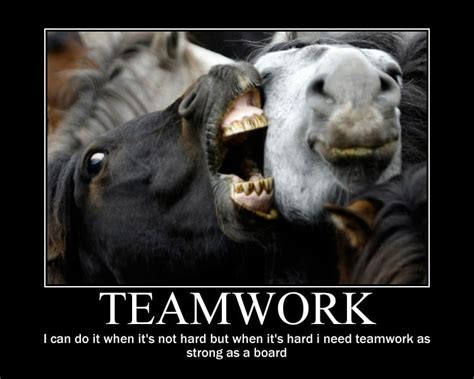 Humorous Teamwork Quotes. QuotesGram