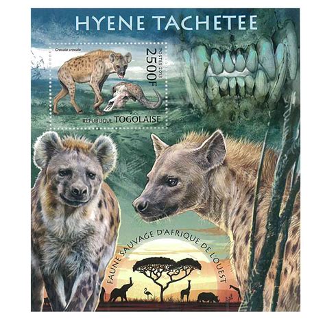 Togo Stamp, 2013 Spotted Hyena, Wildlife, Animals S/S – International House of Stamps & Coins