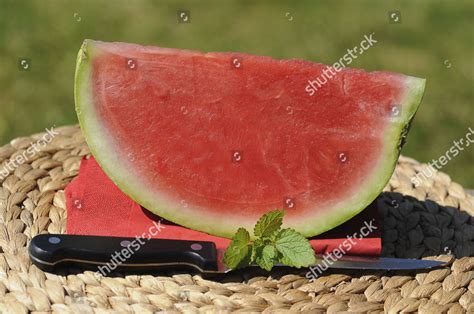 Piece Watermelon Knife Editorial Stock Photo - Stock Image | Shutterstock