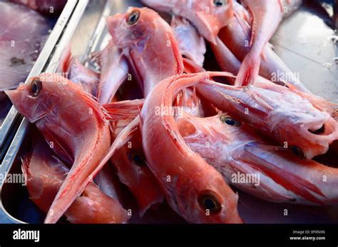 Marsaxlokk fish market malta hi-res stock photography and images - Alamy
