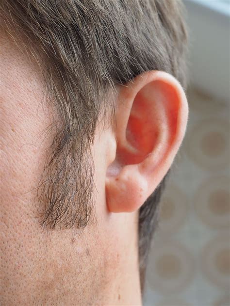 HD wallpaper: left person's ear, listen, human, auricle, sensory organ, perception | Wallpaper Flare