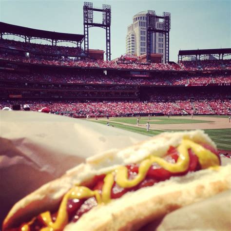 Hot dogs and a Cardinals game at Busch Stadium in St. Louis Tigers Baseball, Baseball Equipment ...