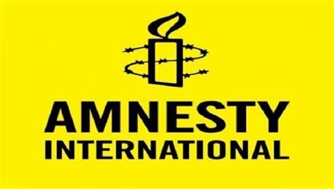 Amnesty International suspends Zimbabwe office over fraud | The Insider