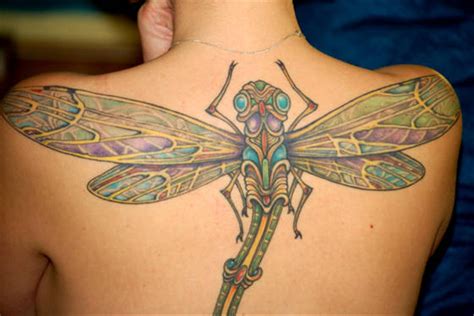 dragonfly tattoo | My Tattoos Zone