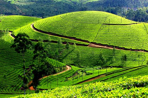 7 Best Places to Visit in Kerala