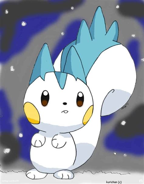 Pachirisu Fan art by ShiroCup on DeviantArt