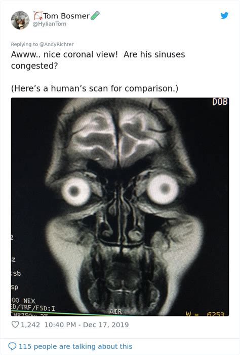 Someone Shows What A Pug’s MRI Scan Looks Like And It’s Pretty Terrifying | Bored Panda