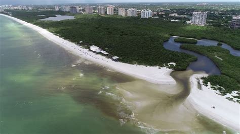 Clam Pass Beach Naples - Red Tide (or Lack of) 08/07/2018 - Naples Drone Solutions - 1/1 - YouTube