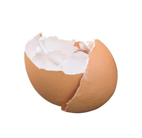 Egg shell cracked and broke parts isolated 15123629 PNG