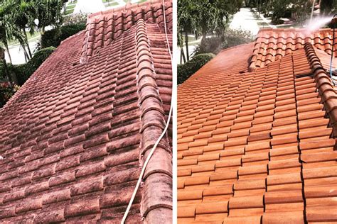 Why You Need A Professional Roof Cleaning Service In Coffs Harbour? - newebmasters